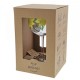 Daffodil Copa Gin Glass - Ginology