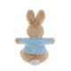 Beatrix Potter Peter Rabbit Medium Plush Toy 22cm