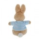 Beatrix Potter Peter Rabbit Small Plush Toy 16cm