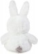 Me to You 5'' Wearing Hare Costume Plush Bunny Bear Tatty Teddy