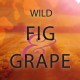 Di Palomo - Fig & Grape - Bath Honey 300ml