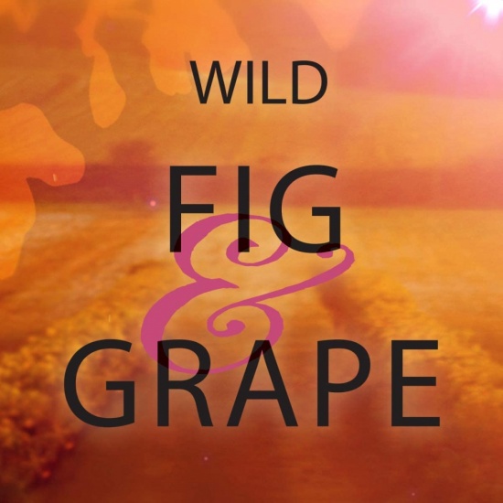Di Palomo - Fig & Grape - Bath Honey 300ml