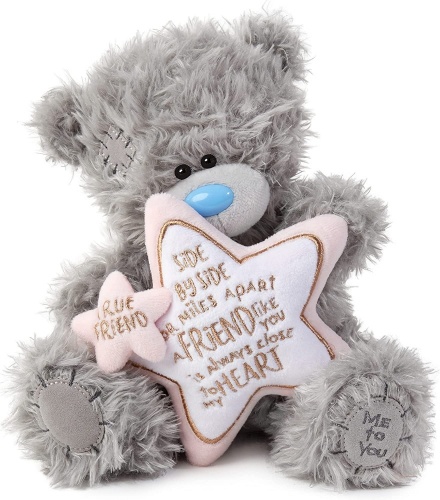 Me to You 19cm True Friend Friend Like You Star Plush Bear Tatty Teddy