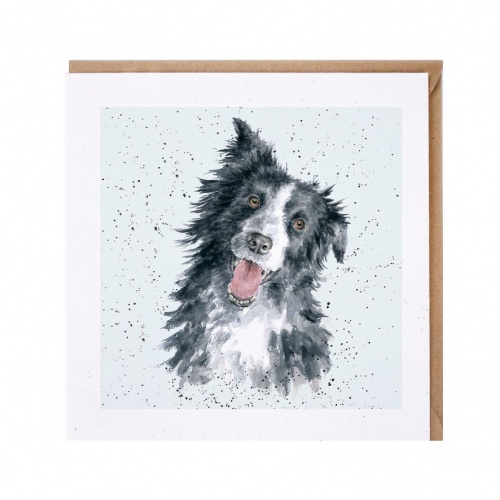 Wrendale Designs Jess Border Collie Greeting Card