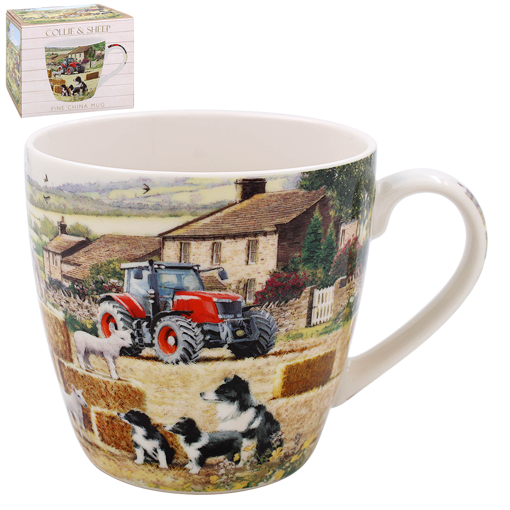 Border Collie in Appartamento: tutto quello che devi sapere - Border