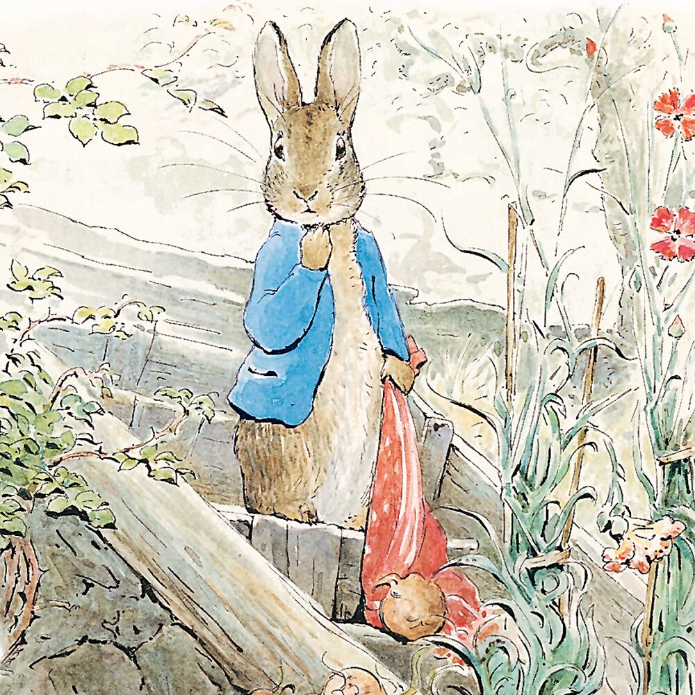Beatrix Potter Peter Rabbit Greeting Card