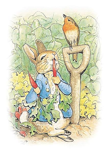 Beatrix Potter Peter Rabbit with Robin Eating Carrots Greetings Card