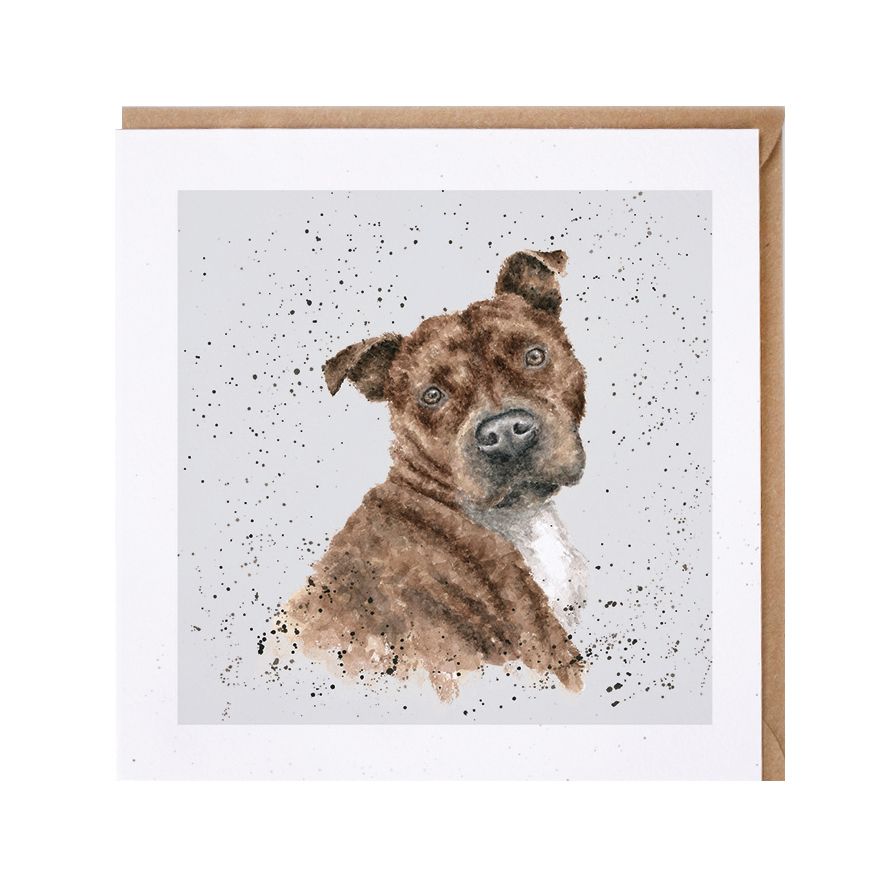 Wrendale Designs Scrumpy Staffordshire Bull Terrier Greeting Card