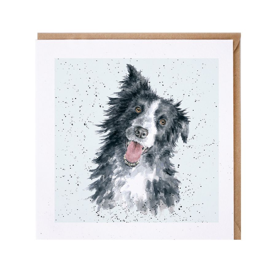 Wrendale Designs Jess Border Collie Greeting Card